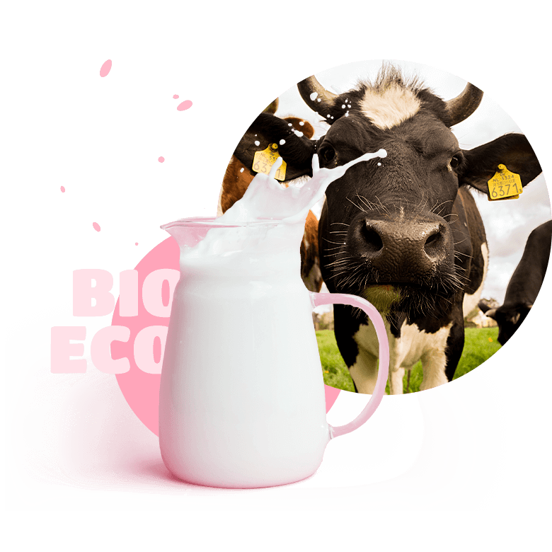 Milk and cow